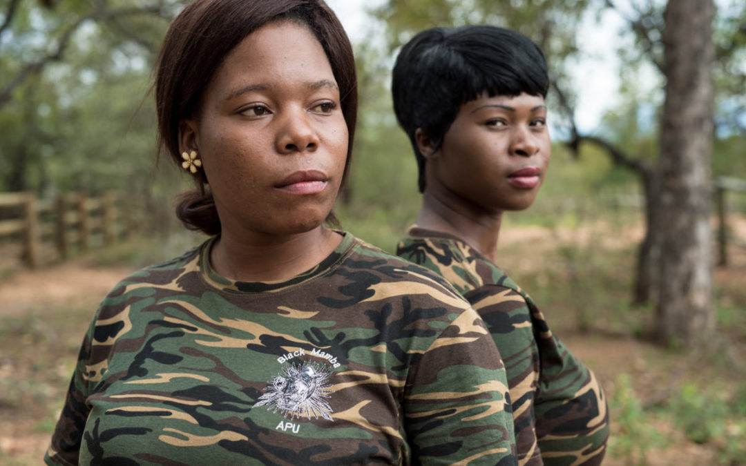 The Black Mambas
