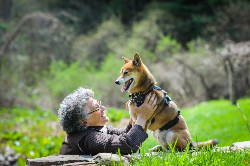 Dr. Capaldo and her rescued Shiba, Kibou