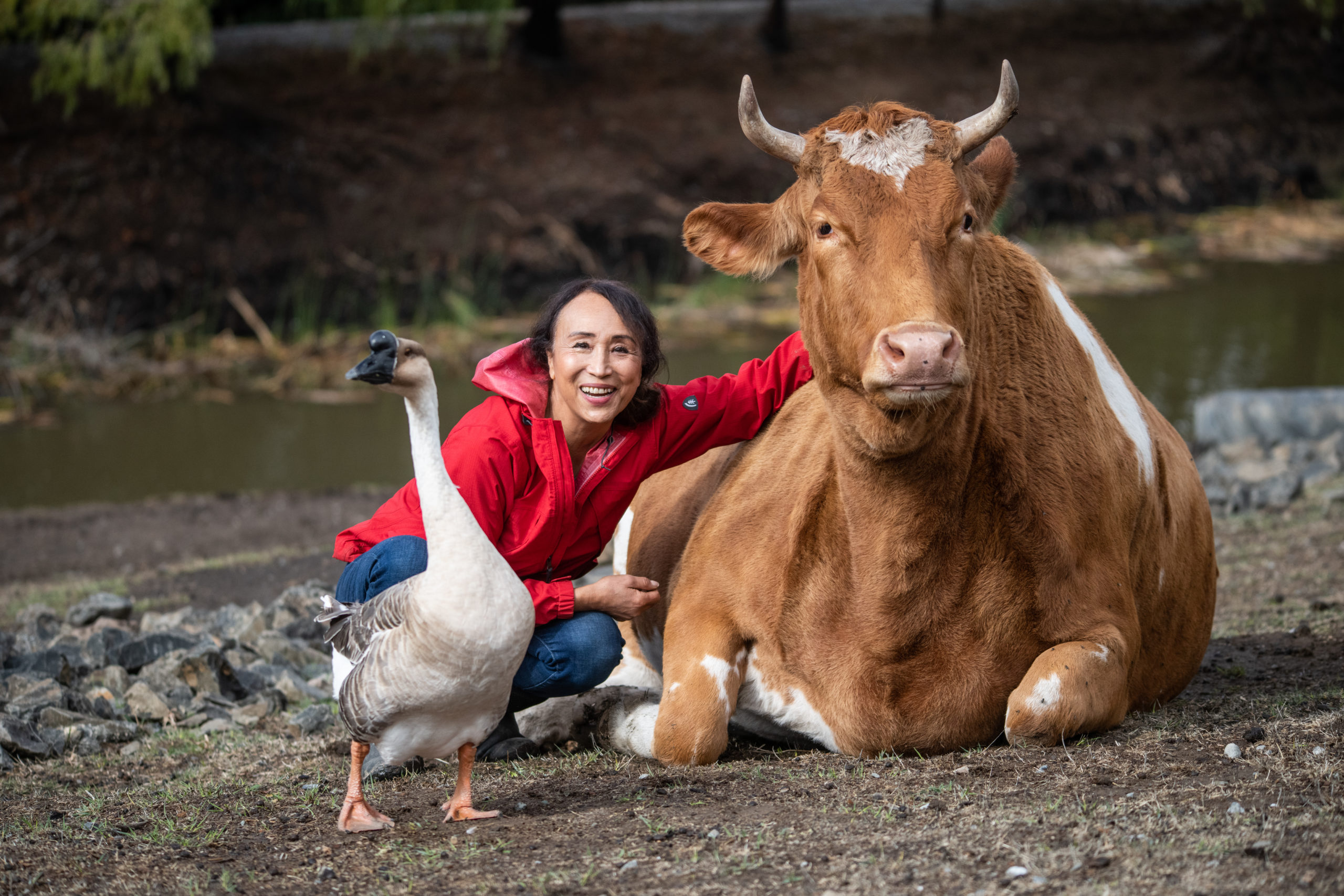 Erin Wing, Deputy Director of Investigations at the animal advocacy NGO Animal Outlook, spends time with Ginger at Wildwood Farm Sanctuary & Preserve.